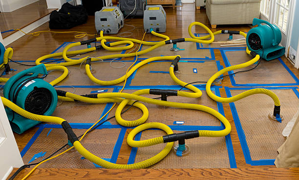 Professional Crawl Space Water Removal technician working in Newbury, NH